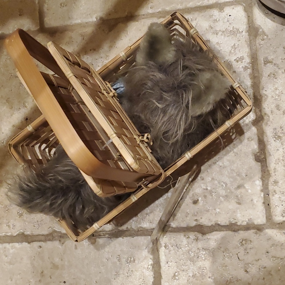 Toto in a basket Wizard of Oz Deluxe - Picture 6 of 6